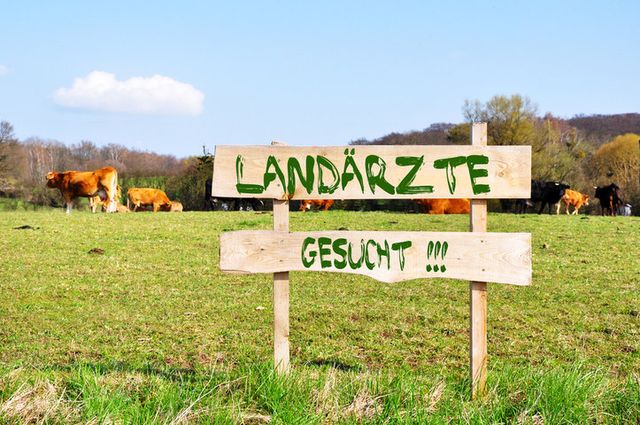 Medizin studieren über die Landarztquote